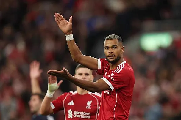 Gakpo đã ghi 5 bàn sau 5 trận giao hữu