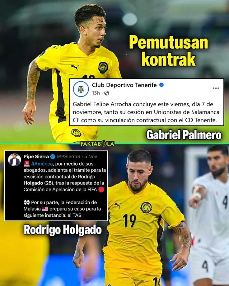 Gabriel Palmero đã mất việc, còn Rodrigo Holgado sắp rơi vào tình cảnh tương tự