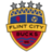 Flint City
