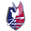 Fagiano Okayama
