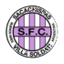 Sacachispas